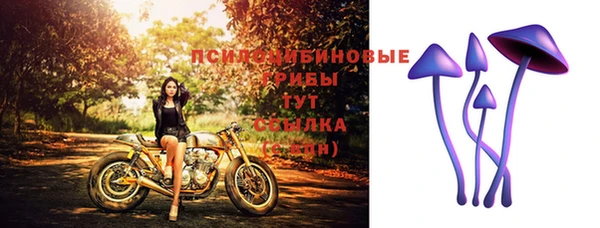 a pvp Иннополис