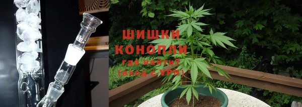 a pvp Иннополис