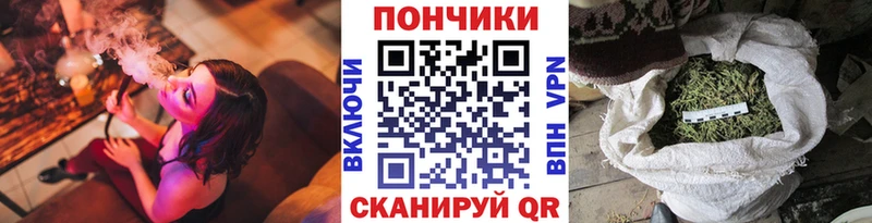 Бошки Шишки ГИДРОПОН  Купить закладки  Карабаново 